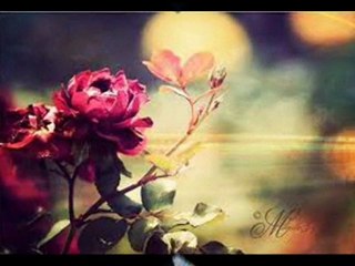 __ BAHA __ Aşk Gülüm __