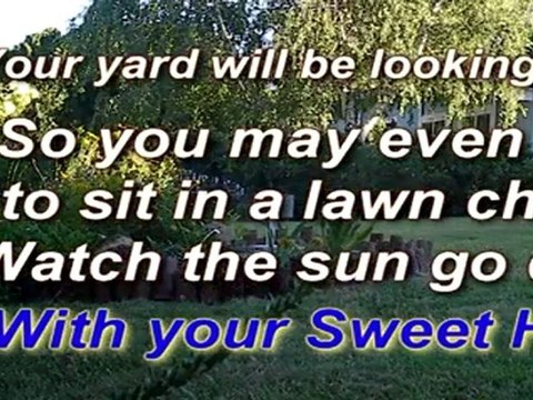 Low Cost Landscaping | Mow the Lawn | Clean the Pool Woodland CA