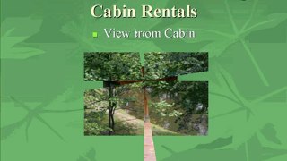 Hiawassee River trout lodge Cabin Rentals Cabim 8