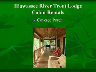 Hiawassee River trout lodge Cabin Rentals Cabin 2