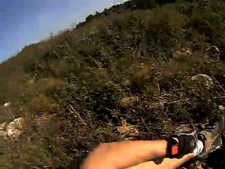 dans les épines