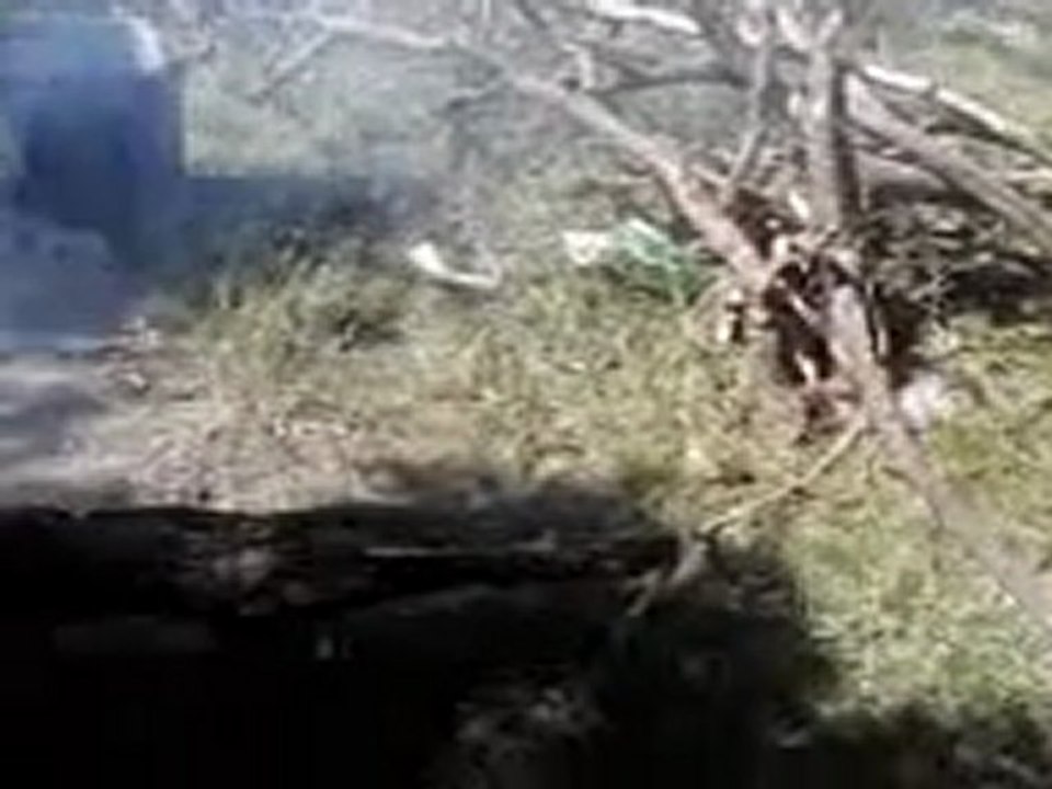 Campamento de Darito V