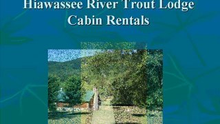 Hiawassee River trout lodge Cabin Rentals Conference Center