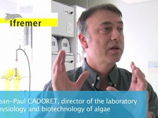 Ifremer, laboratoire de physiologies et de biotechnologie des algues, membre d'Atlanpole Blue Cluster