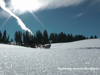 Voyage dans les Montagnes du Jura