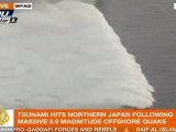 terremoto e tsunami in Giappone