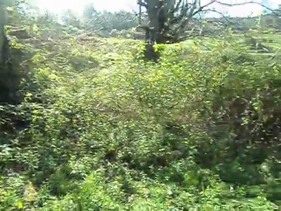 bajada mata