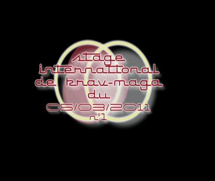 stage international krav-maga du 05.03.11 n°1