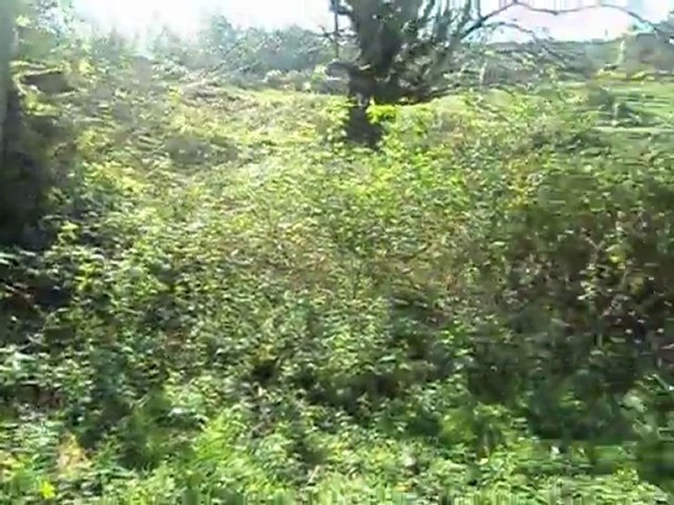 mata 2
