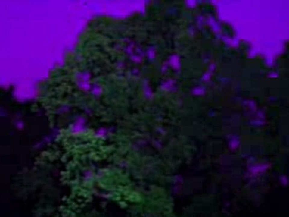 Wiederkehr der Landschaft III