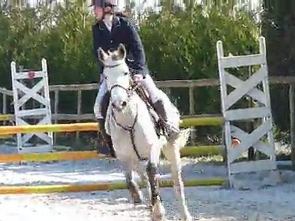 TDA Beaumont 2011