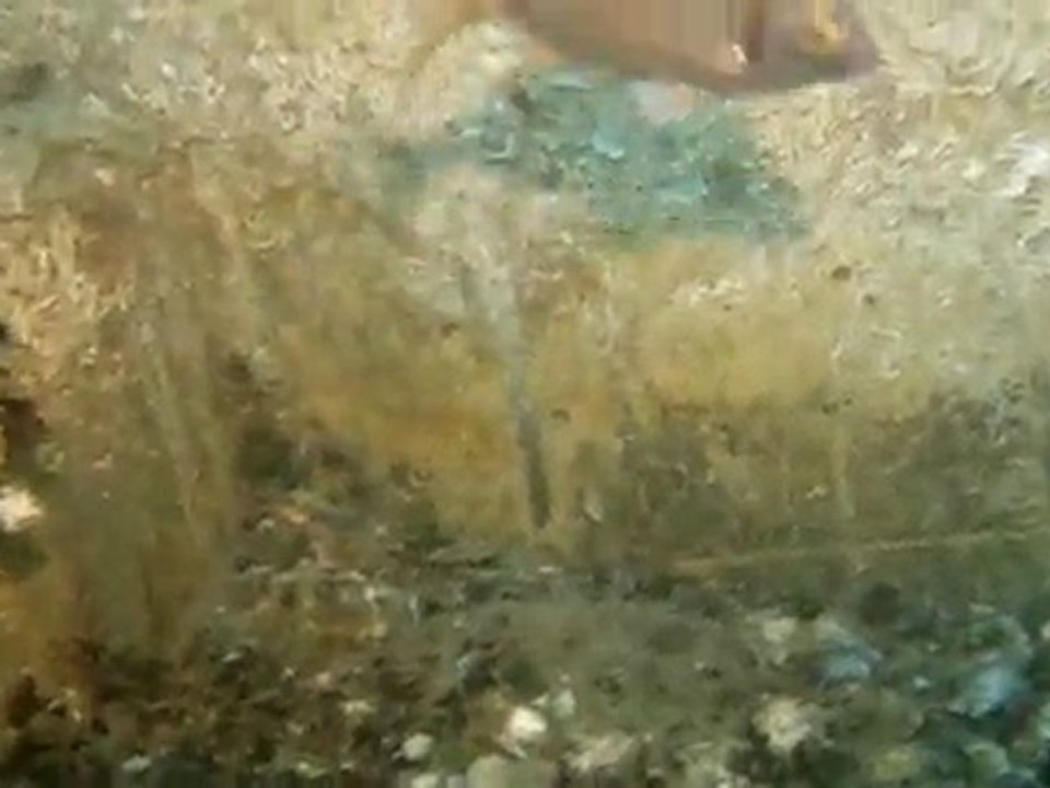 test gopro