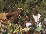 guine-bissau ICHY
