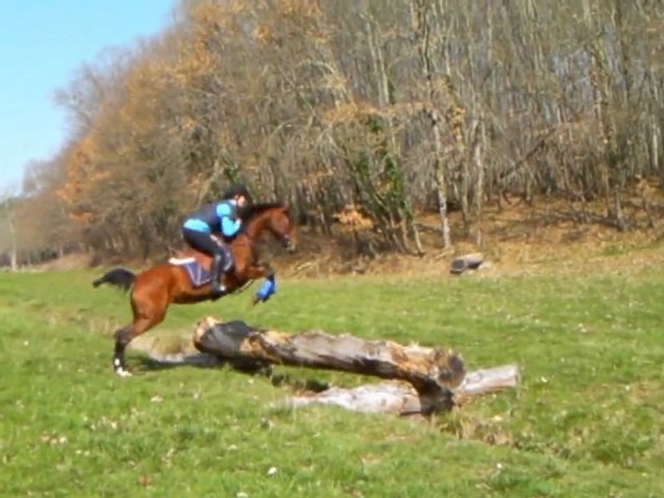 Stage Cross 6/03/11
