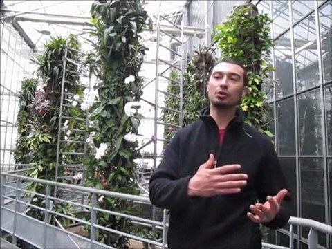 Anthony, technicien audiovisuel au parc Terra Botanica