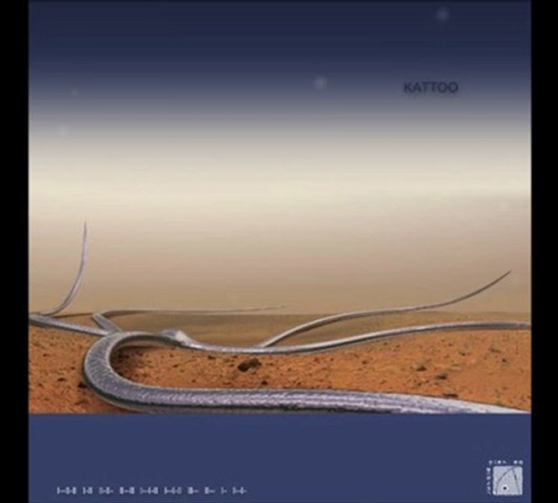 Kattoo - ll--ll ll-ll- l--l-ll l--ll ll-ll- l--l-l