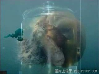 Criaturas Sobrenaturales 3 (Supernatural Creatures 3)