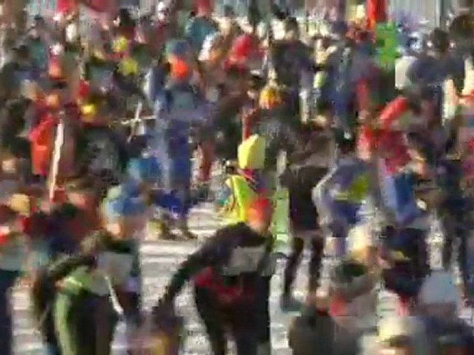 vasa 2011