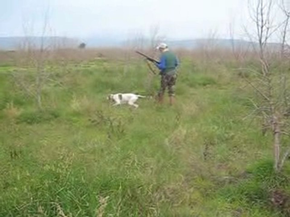 MEX BILDIRCIN AVI 2