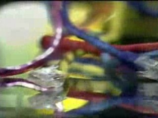 Phone Broadcast Club Intro Video