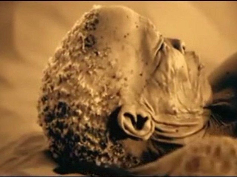 DEZARIE - Foolin Yourself