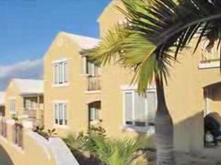 Working Together Towards a Greener Tomorrow