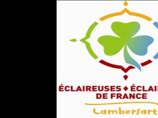 carnaval  Bailleul 2011