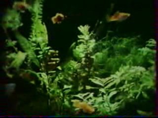 Un musée par ordinaire par Bertrand ROUSSEL