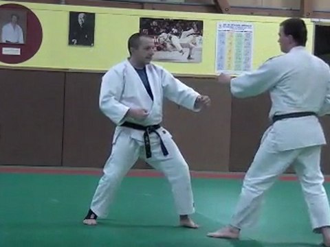 COURS DE JU JITSU AU DOJO DE CHASSIEU