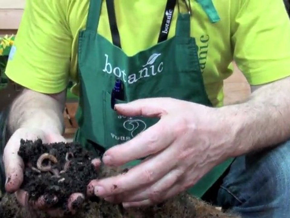 Le compost d'appartement