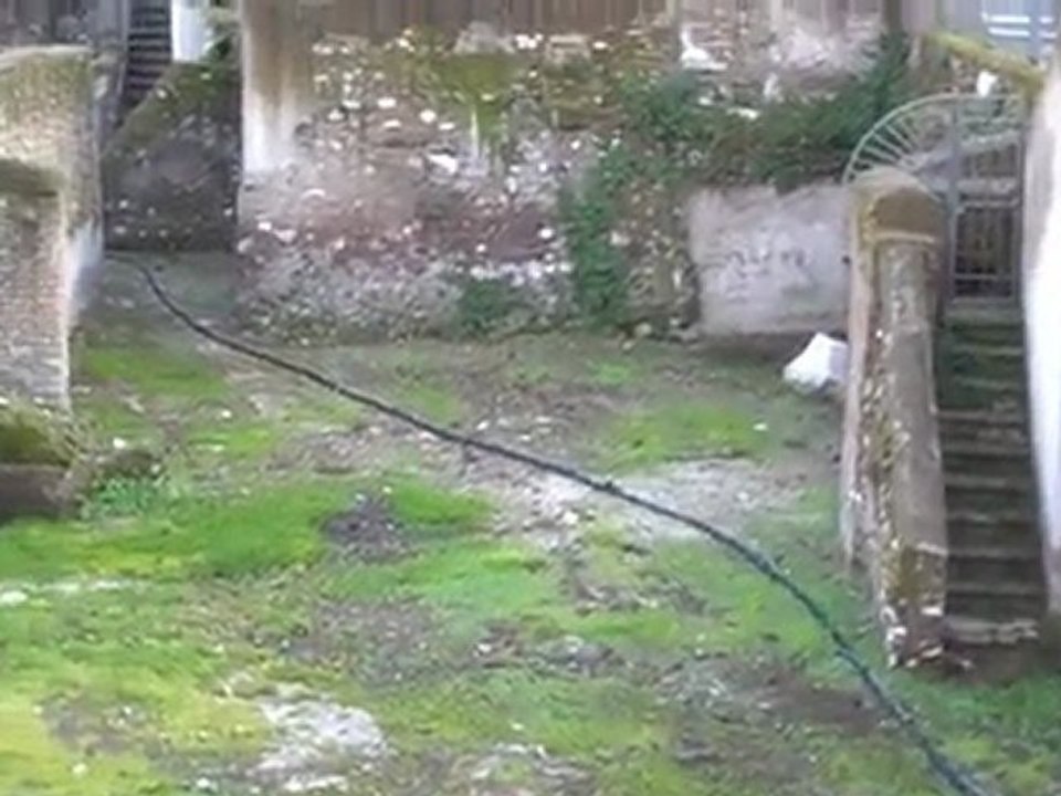 Italy Travel Show - Famous Roman Ruins