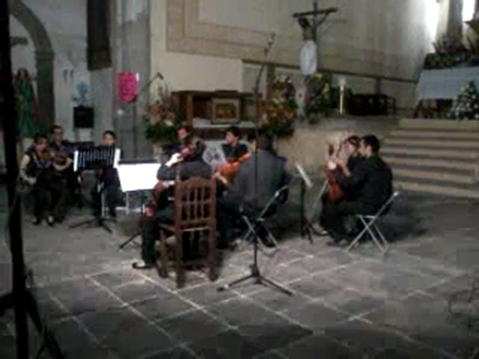 ORQUESTA CAMARA BUAP FILEC 2011 TECAMACHALCO, PUEBLA.
