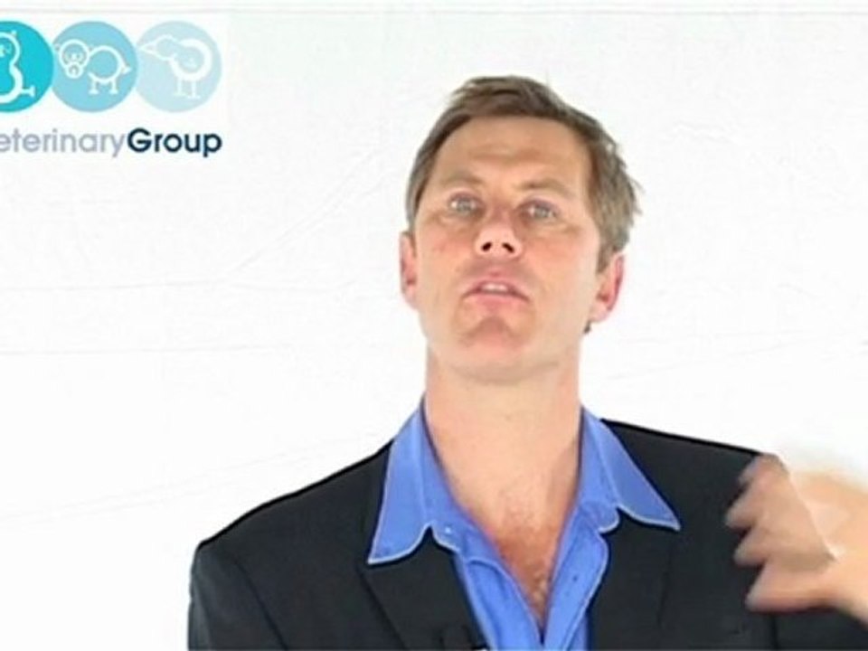 Reduce Vet Practice Isolation: Join a Veterinary Buying Group