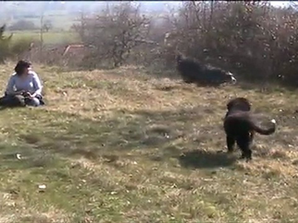 Che et Anoushka