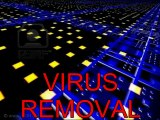 COMPUTER REPAIR, CLEARWATER FL,VIRUS REMOVAL,PC REPAIR,0002