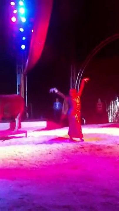 Spectacle Cirque Zavatta 03/03/11