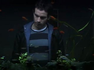 La vida de los peces - Trailer