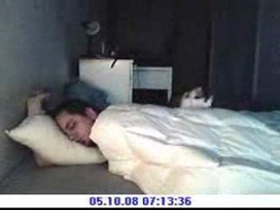 Dormir avec son chat
