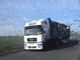 Releasing a truckload of pigeons in 15 seconds