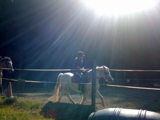 Mon petit Gege adorer JTM gerico du poney club evasion