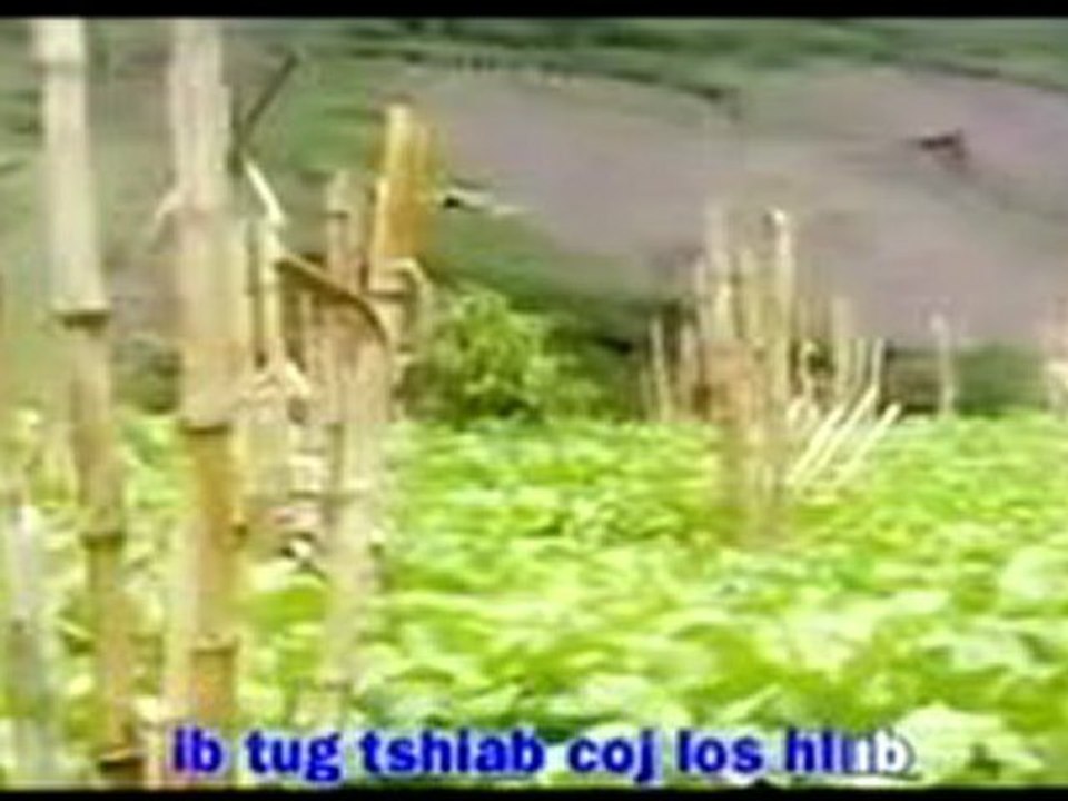 210 hmong song ( koj ua ib siab )