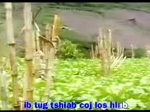 210 hmong song ( koj ua ib siab )