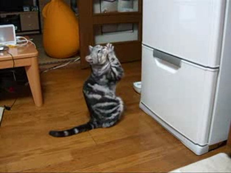 Demander une offrande au dieu Frigo