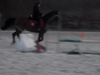 concour 6-03-2011 : lou et melchior