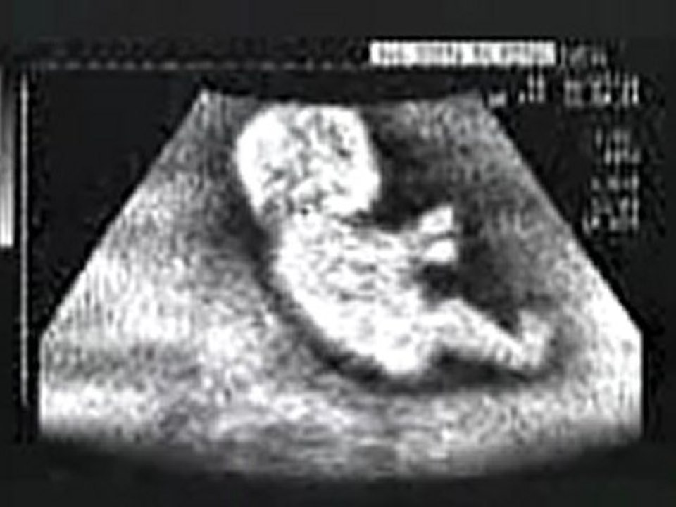 Fast_and_Furious_Baby