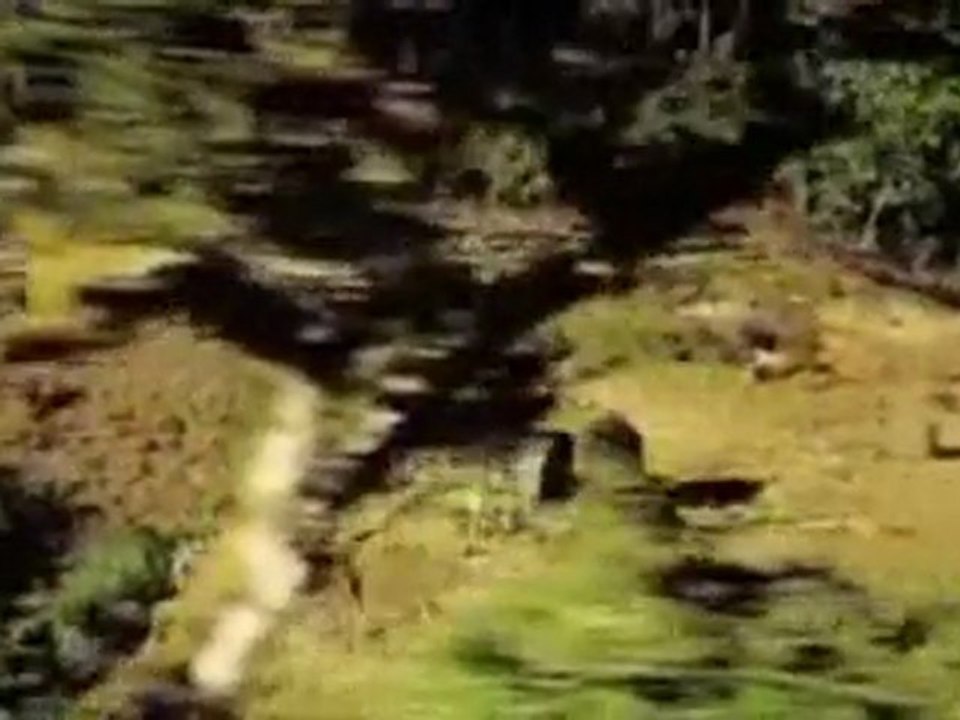 Dezarie - Walk Wid Me