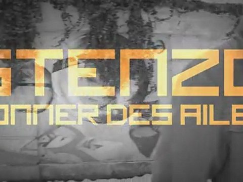 Teaser Stenzo-Donner des ailes