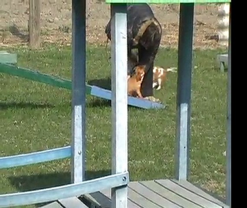 Graël et Fiscèle premier jour d'école