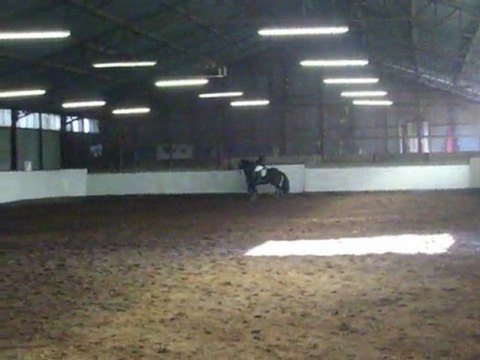 Concours 6 mars Drouot 2011