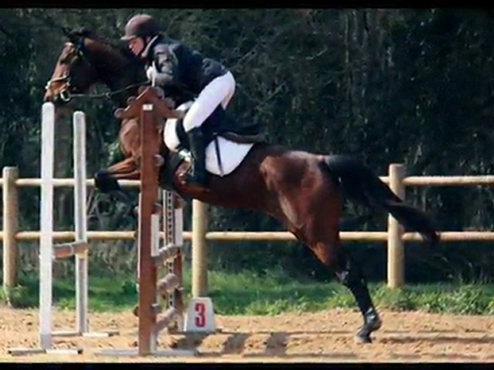 Concours La Jarne 06.03.2011